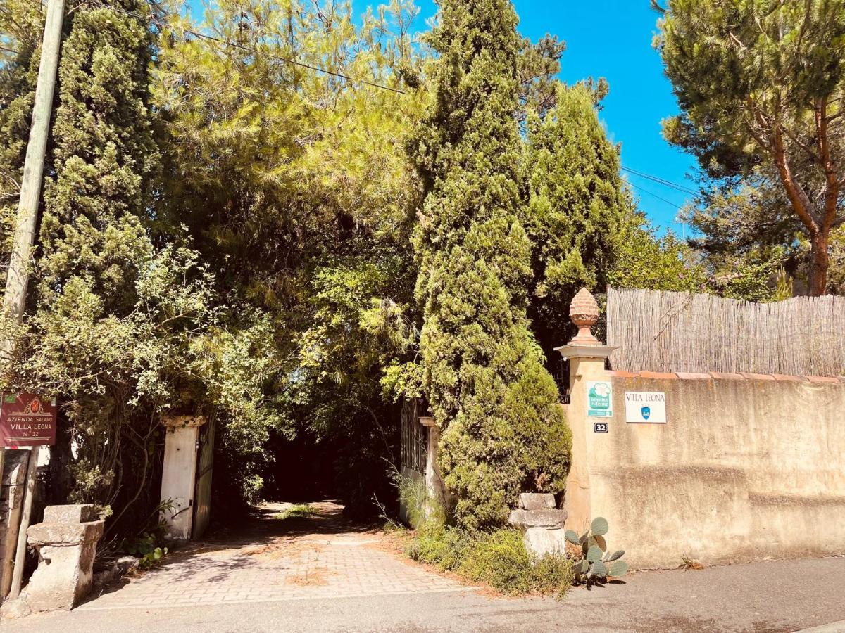 Villa Leona Clim Park Боллен Экстерьер фото